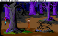 King's Quest: Quest for the Crown