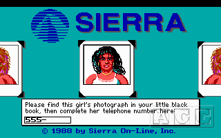 Leisure Suit Larry Goes Looking for Love (In Several Wrong Places)
