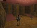 Tomb Raider