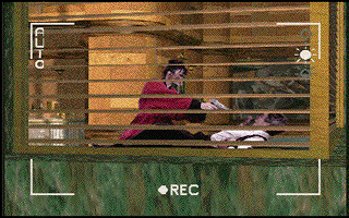 Voyeur