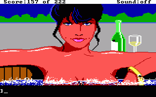 Leisure Suit Larry in the Land of the Lounge Lizards