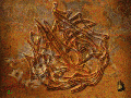 Karma: Curse of the 12 Caves