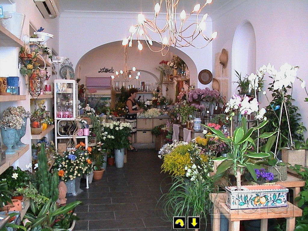 AnaCapri: The Dream