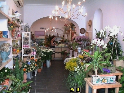 AnaCapri: The Dream