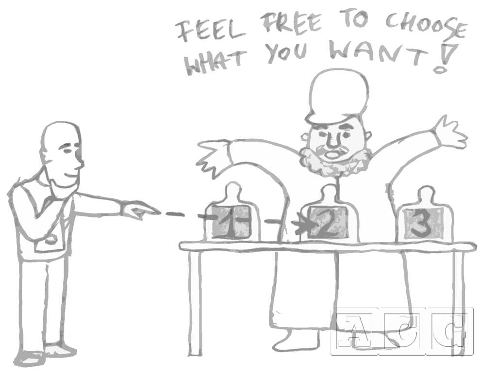 Gamer's (illusion of) freedom