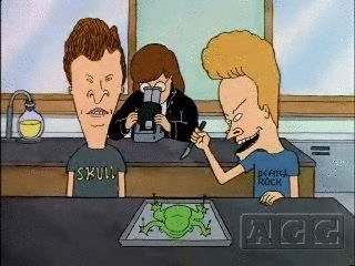 Beavis and Butt-Head in Virtual Stupidity