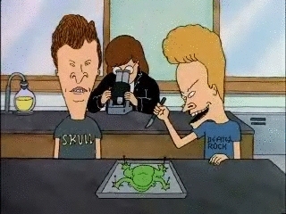 Beavis and Butt-Head in Virtual Stupidity