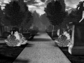 The Graveyard