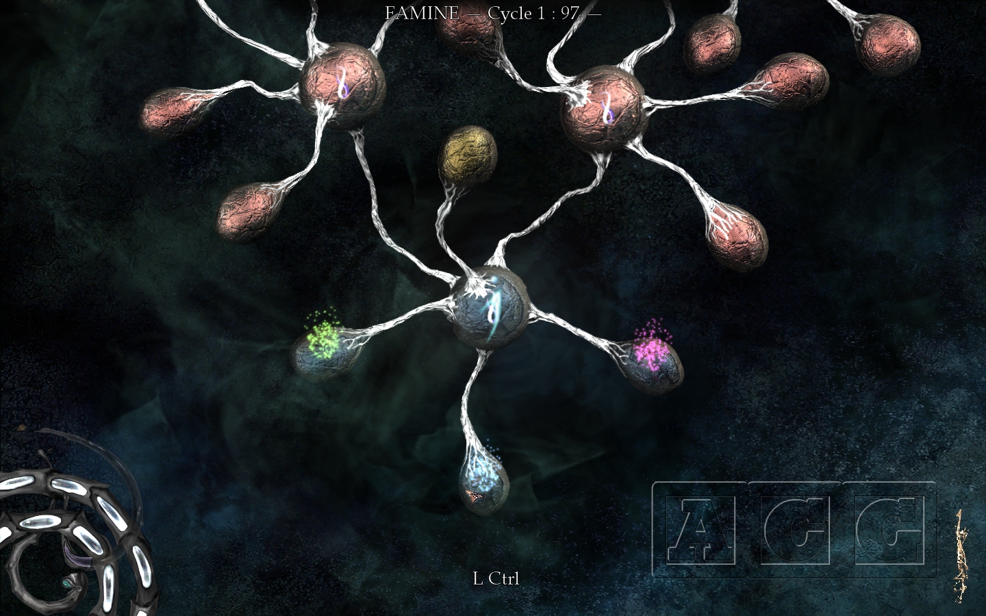 The Void The Void