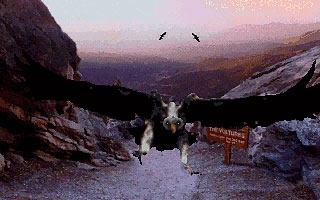 Return to Zork Return to Zork